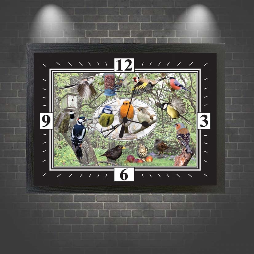 British Garden Birds Wall Clock Gift