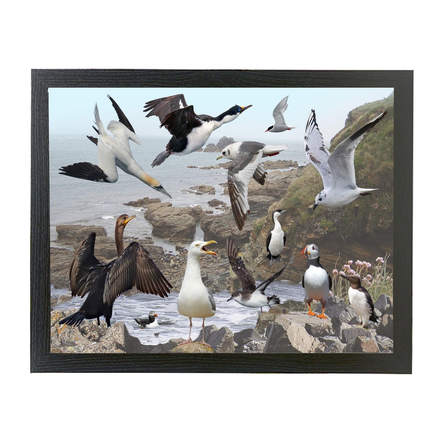 Coastal Birds Nature Lap Tray and Mug Gift Set, COASTBIRDGSET_001