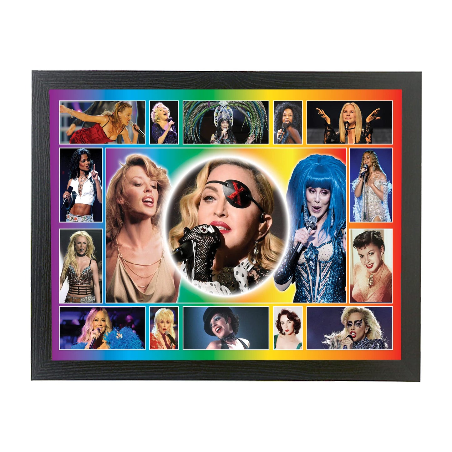 Diva Gay Pride Framed Wall Hanging Picture Gift