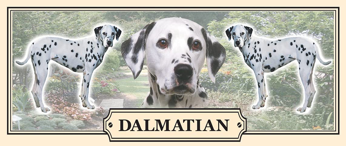 Dalmatian Dog Breed Gift Mug