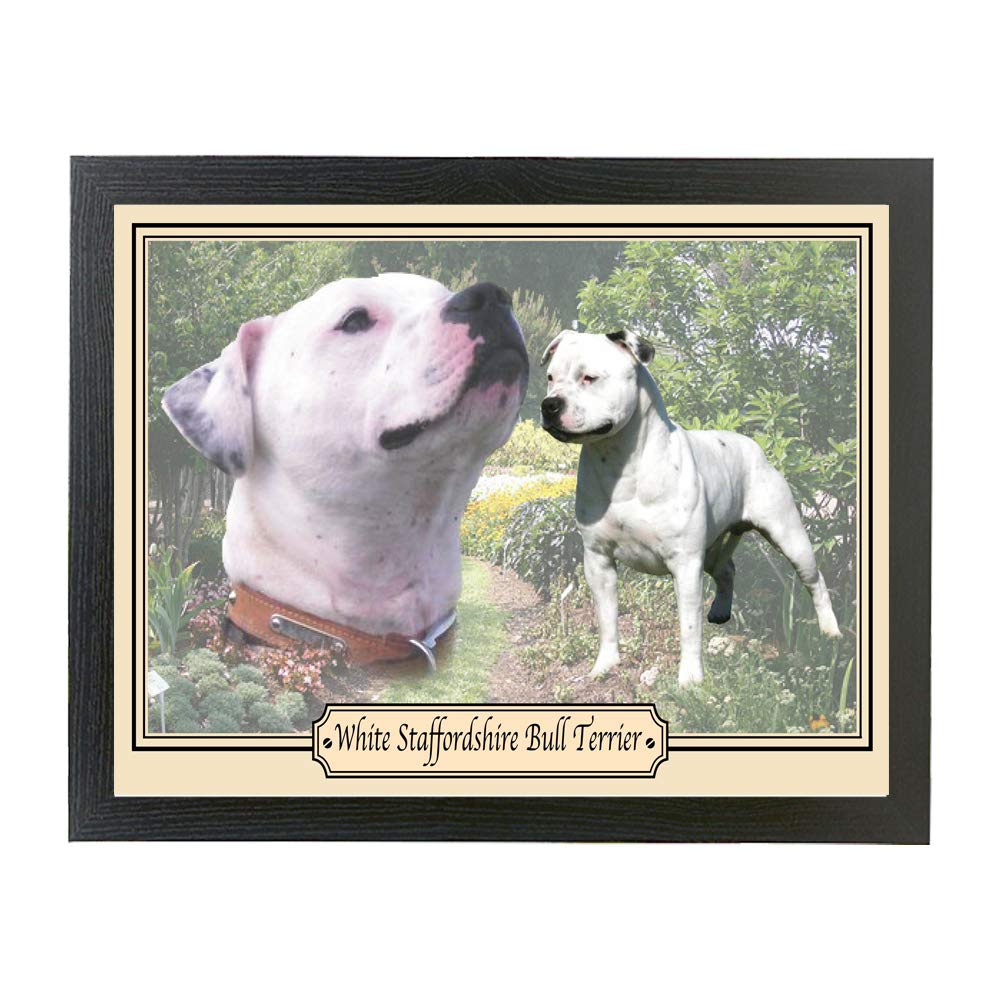 White Staffy Staffordshire Bull Terrier Dog Breed Gift Lap Tray