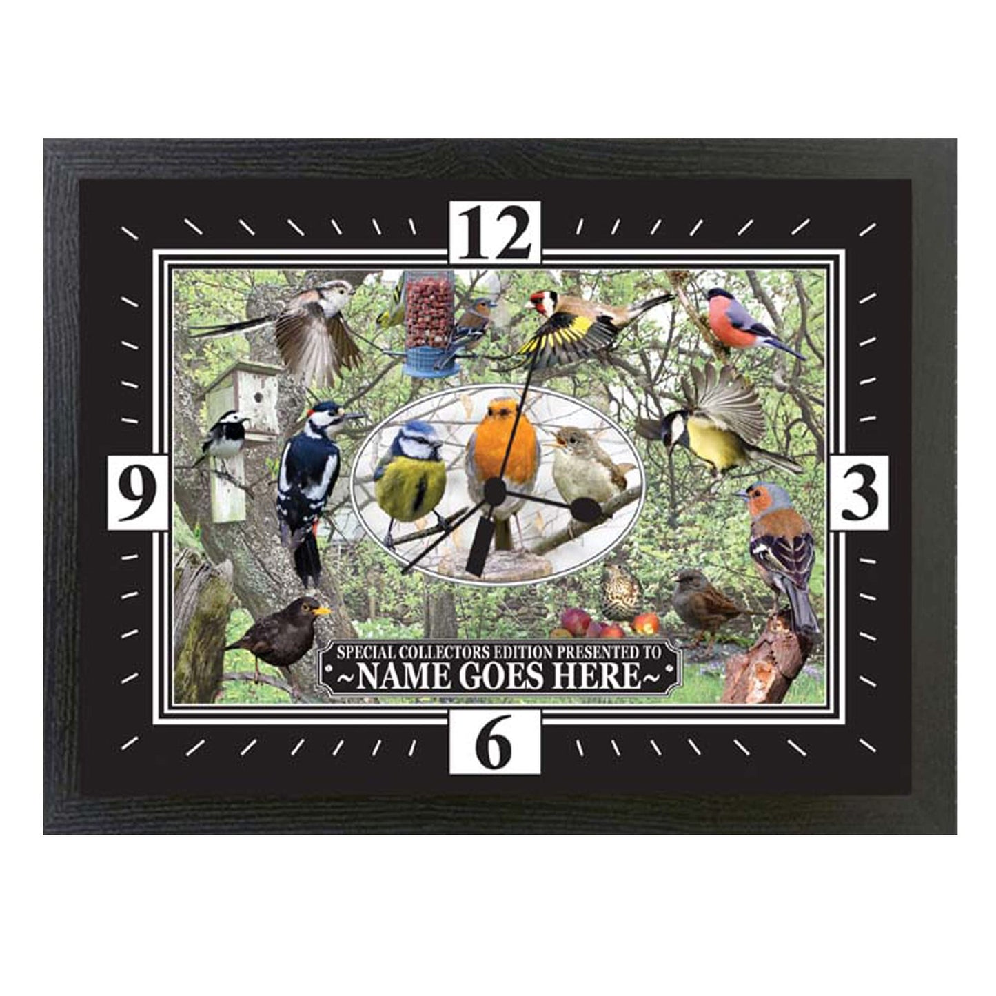 British Garden Birds Personalised Wall Clock