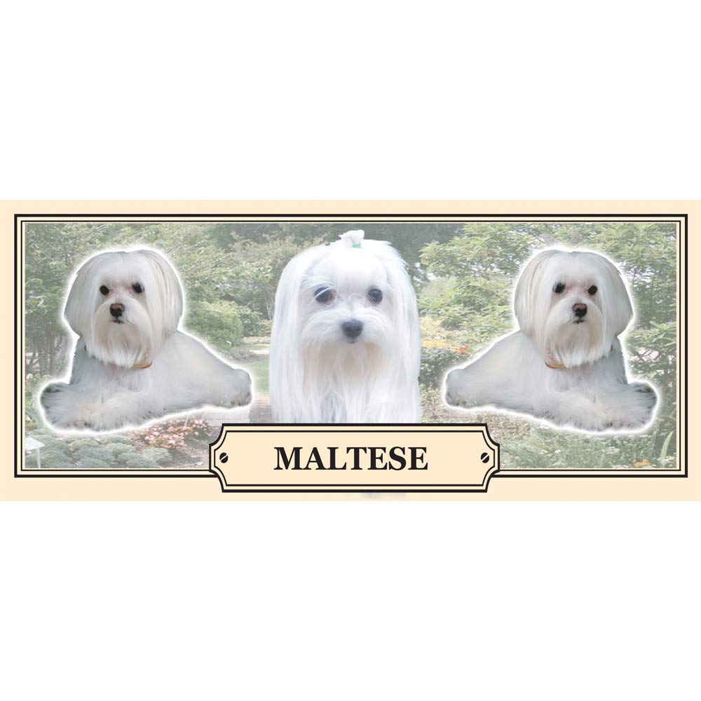 Maltese Dog Breed Gift Mug