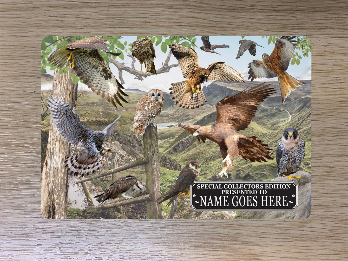 British Bird of Prey Personalised Passport Case Holder Gift