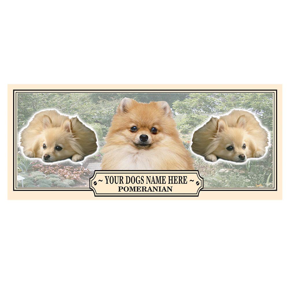 Pomeranian Personalised Dog Breed Gift Mug with Treats