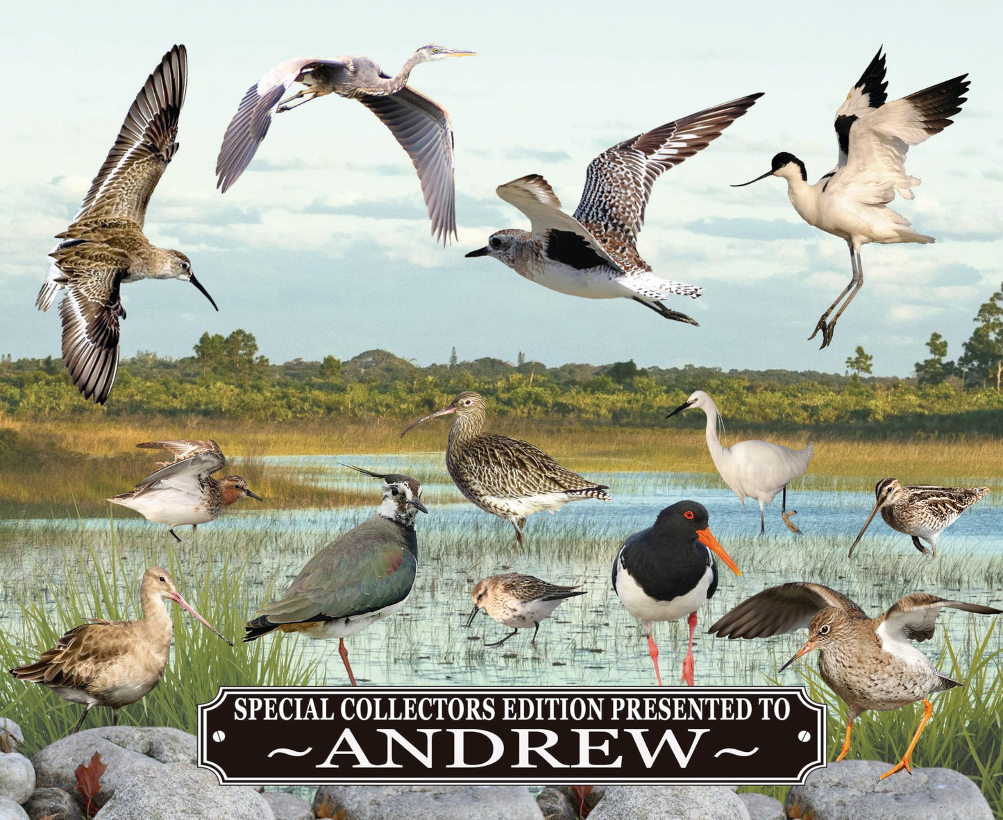 Personalised British Wetland Bird Ornithophile, Birder Mouse Mat Gift