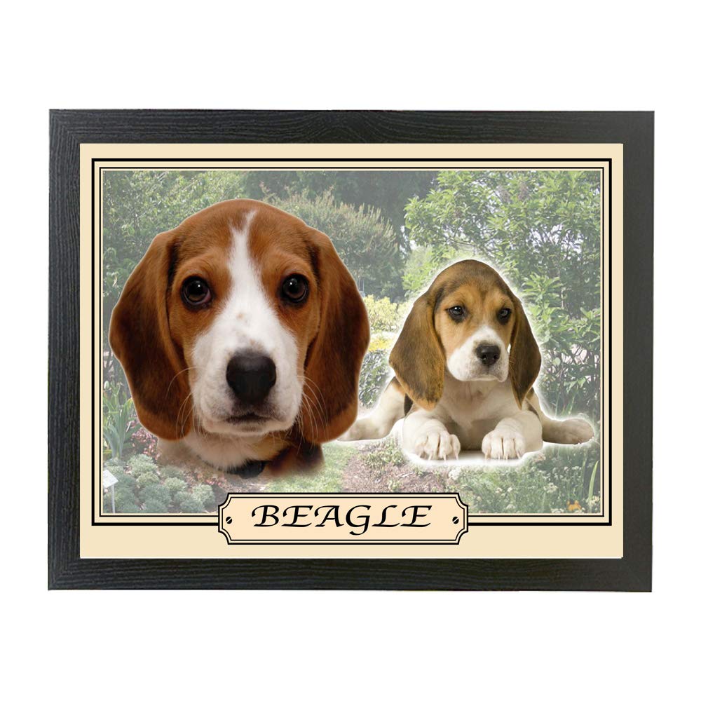 Beagle Dog Breed Gift Lap Tray