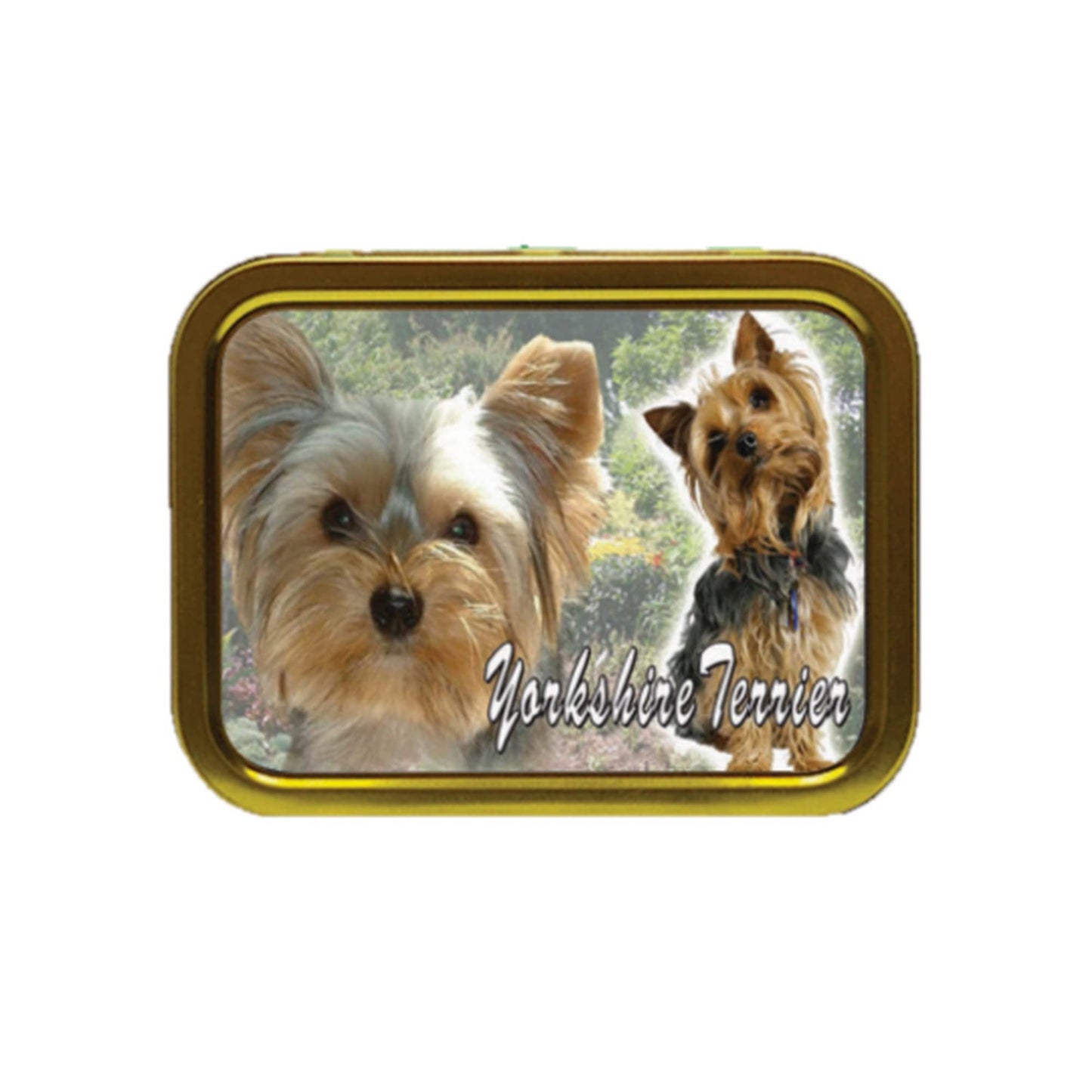Yorkshire Terrier Dog Breed Tobacco Tin & Products Gift