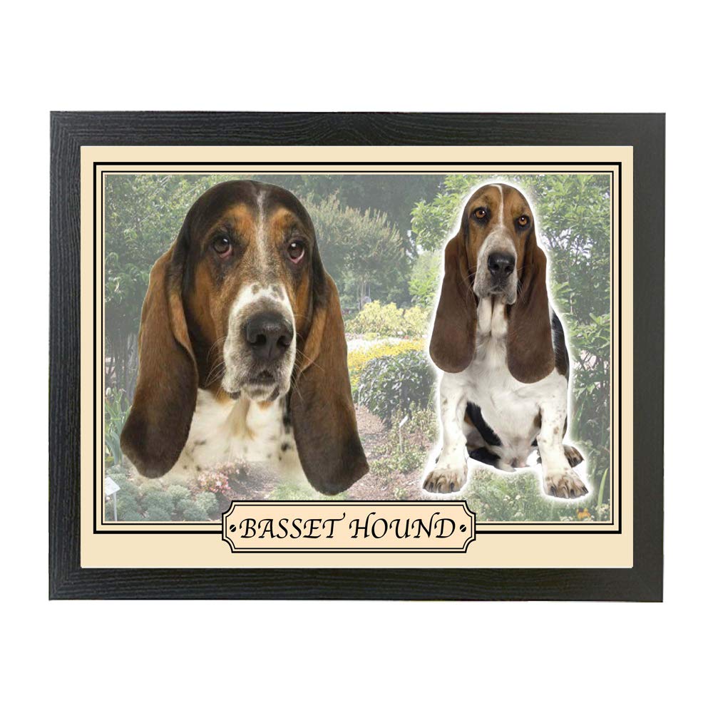 Basset Hound dog breed framed picture gift