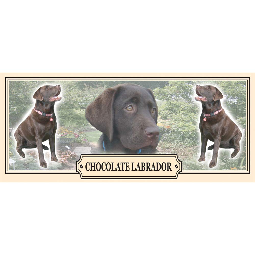 Chocolate Labrador Retriever Dog Breed Mug Gift with Dog Treats