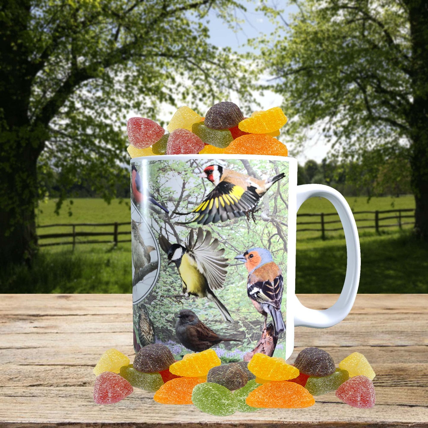 British Garden Birds Mug with Choice of Sweets Gift