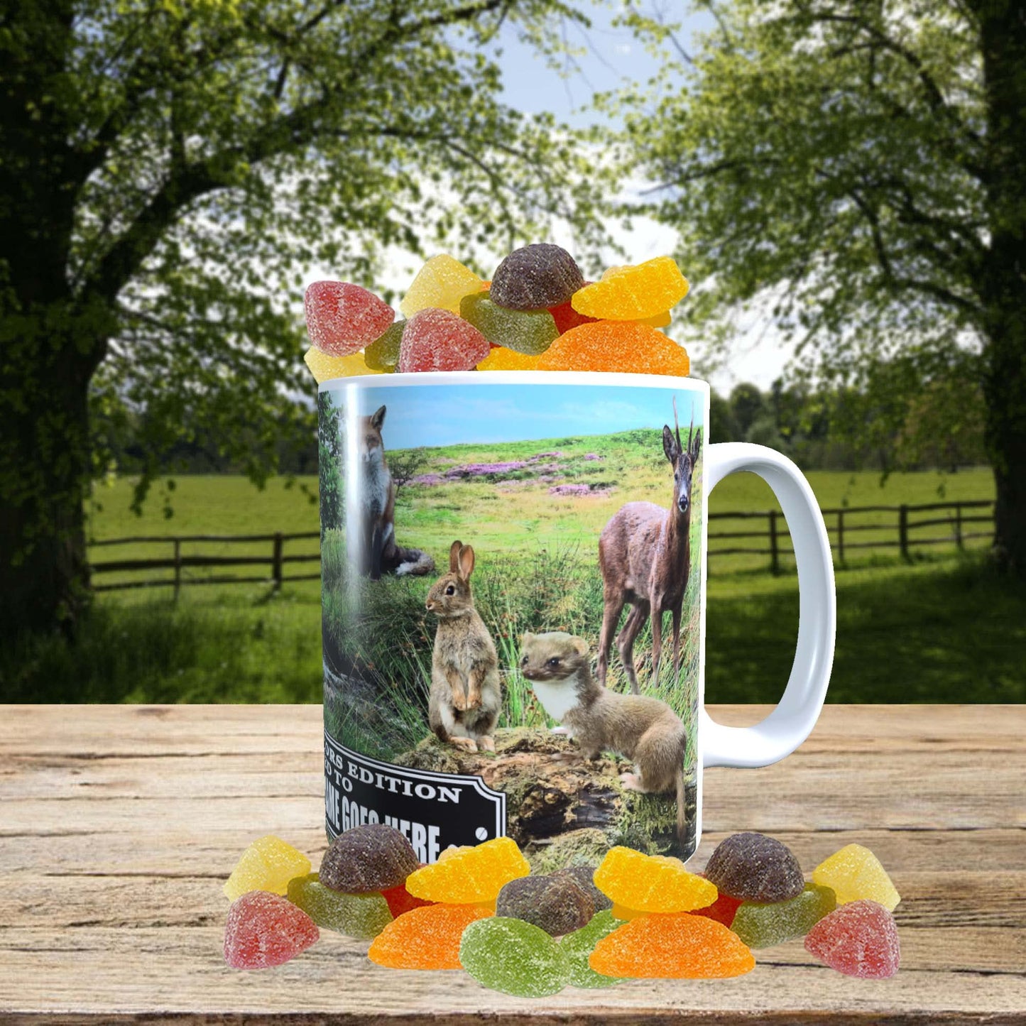 British Countryside Wildlife Animals Personalised Mug with a Choice of Sweets Gift