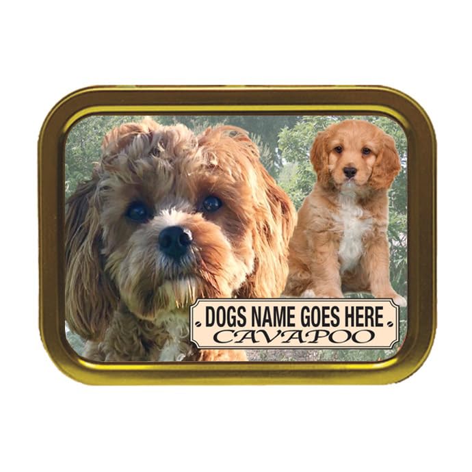 Cavapoo Dog Breed Personalised Tobacco Storage Tin & Products