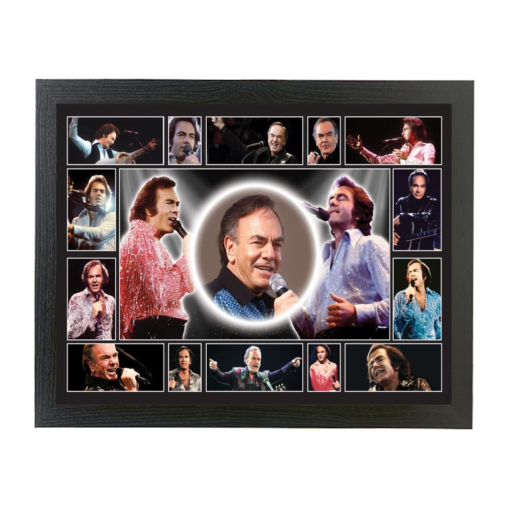 Diamond The-Jazz-Singer Framed Wall Hanging Picture Gift Neil
