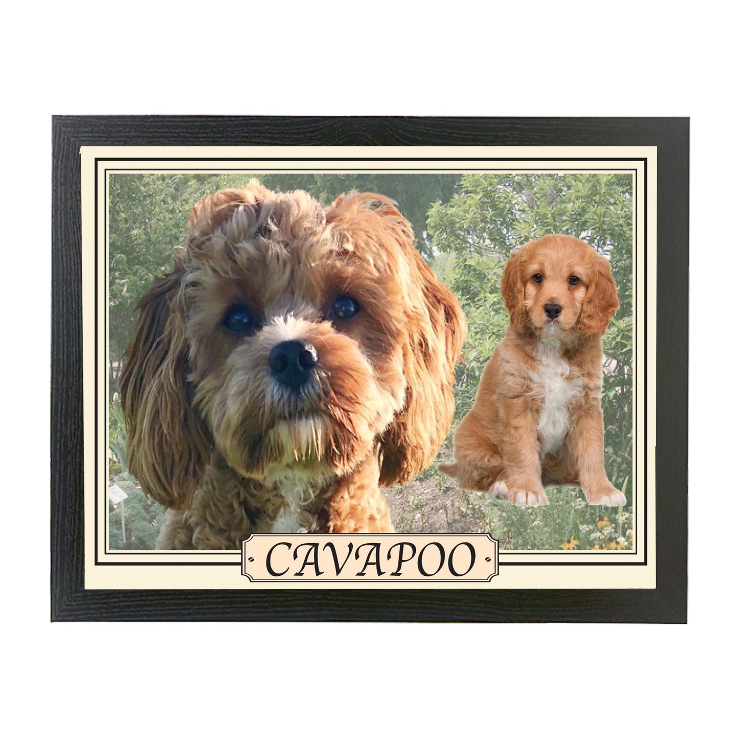 Cavapoo Dog Breed Lap Tray Gift Present
