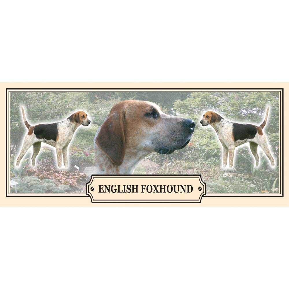 English Foxhound Dog Breed Gift Mug