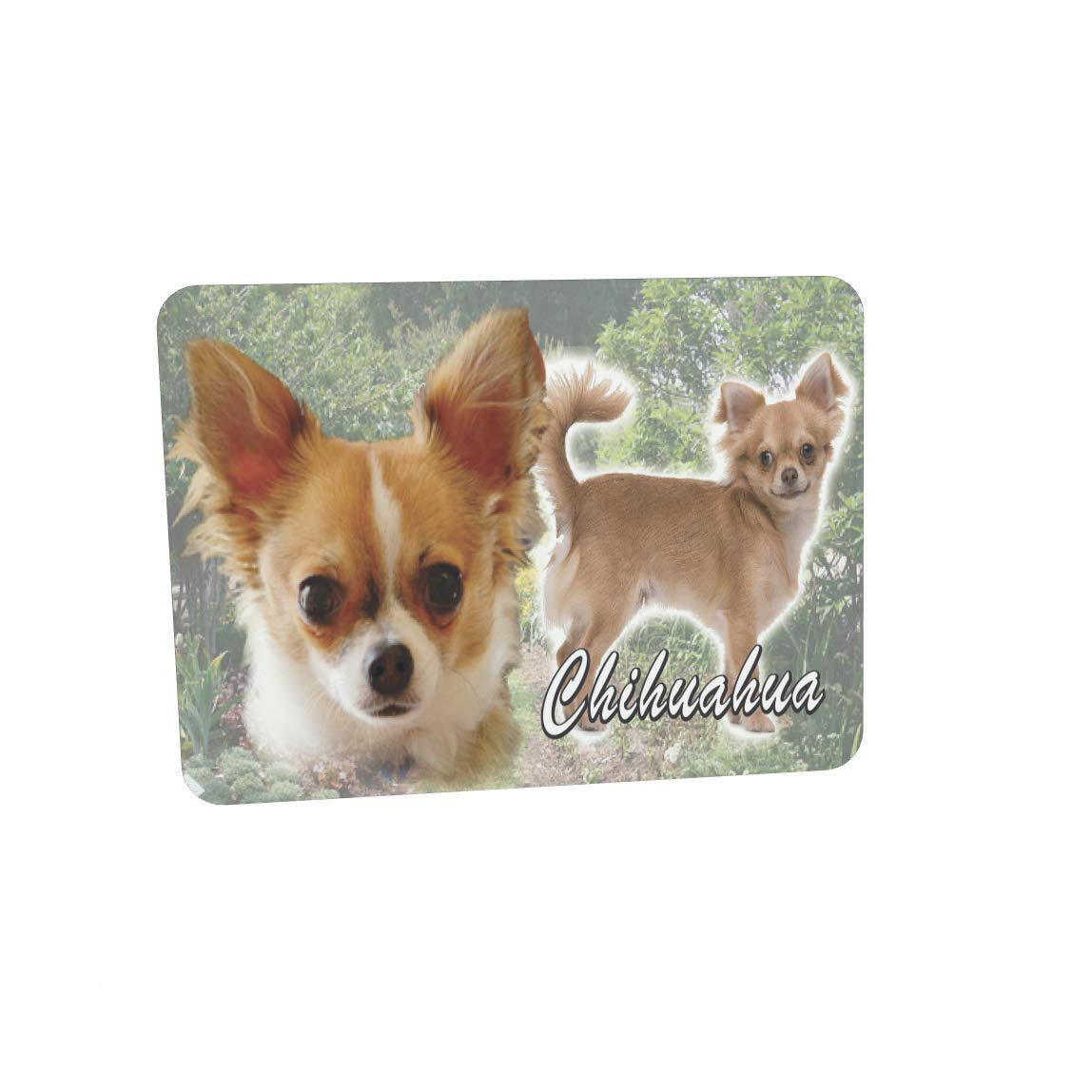 Chihuahua Dog Breed Mouse Mat Gift