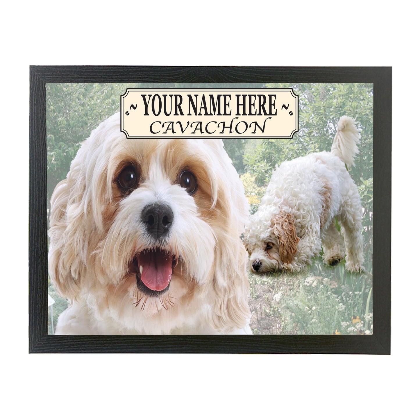 Cavachon Personalised Dog Breed Lap Tray Gift Present