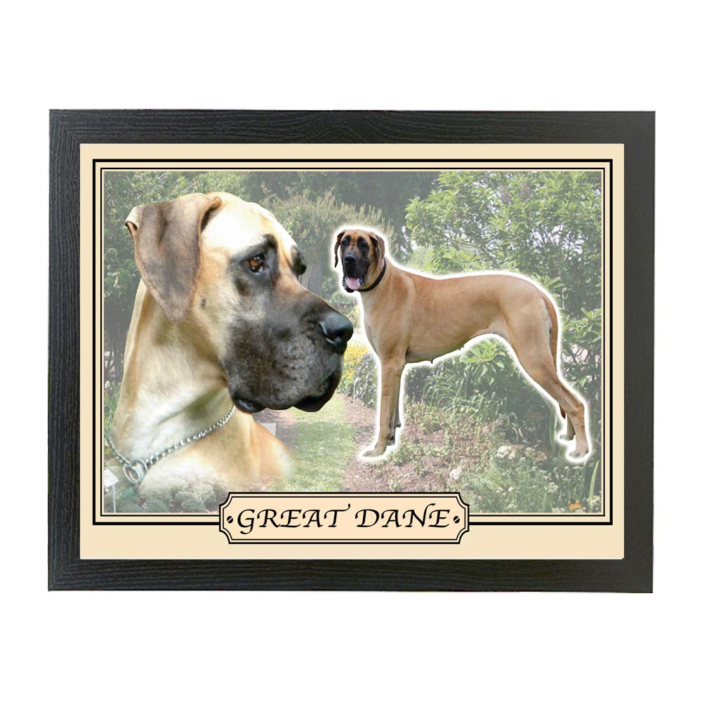 Great Dane dog breed framed picture gift