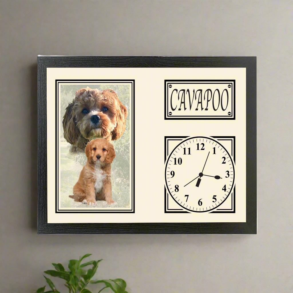 Framed picture with two Cavapoo puppies and a clock on a white background
