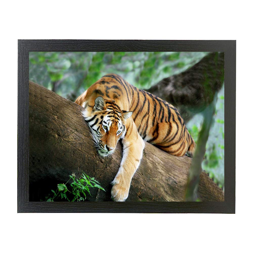 Tiger laying on a branch in the forest framed picture gift