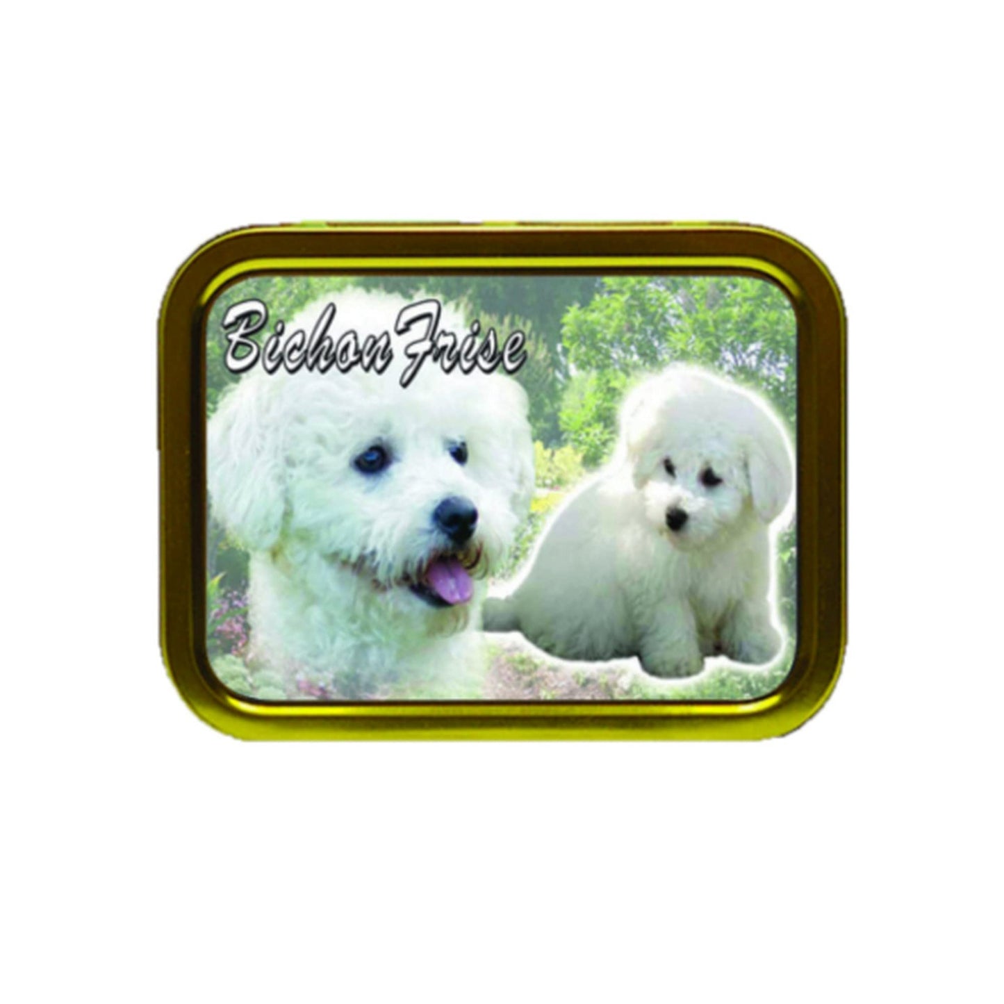 Bichon Frise Dog Breed Tobacco Tin & Products Gift