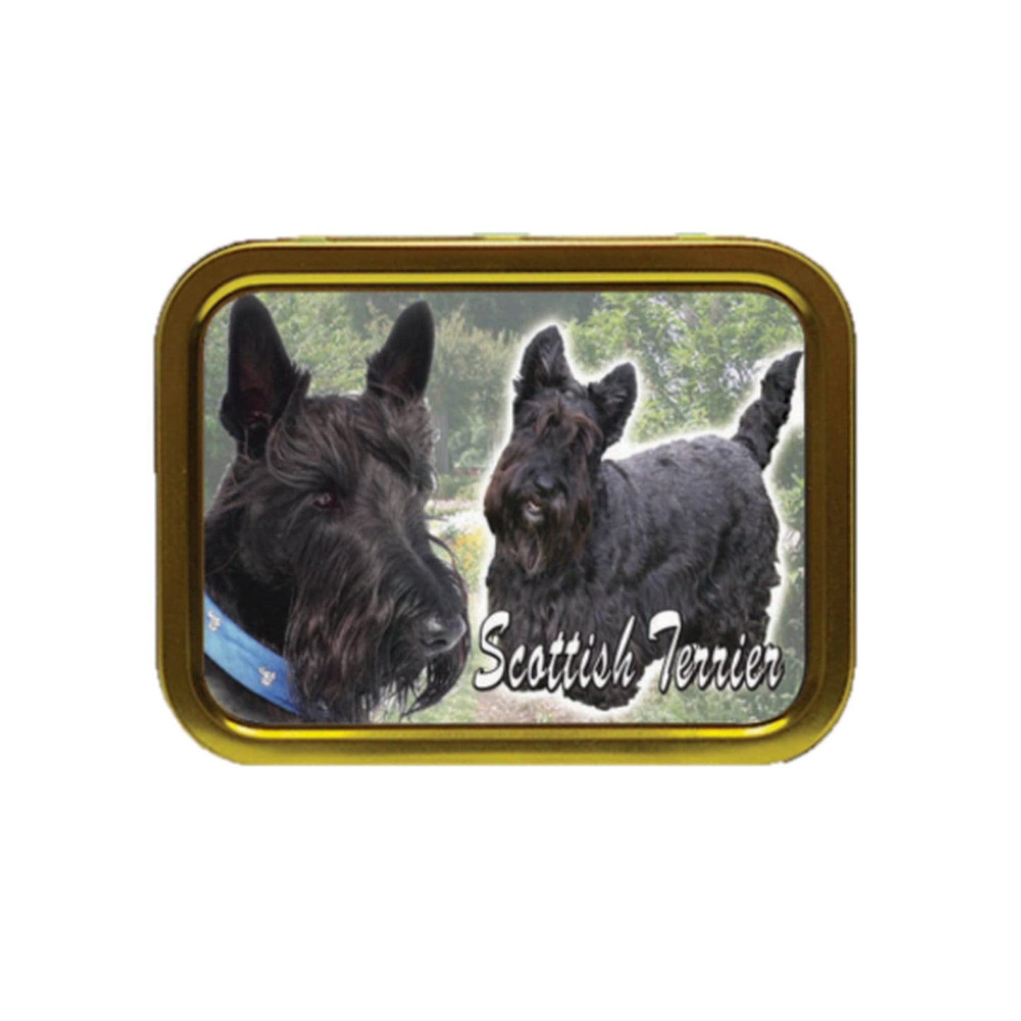 Scottish Terrier Dog Breed Tobacco Tin & Products Gift