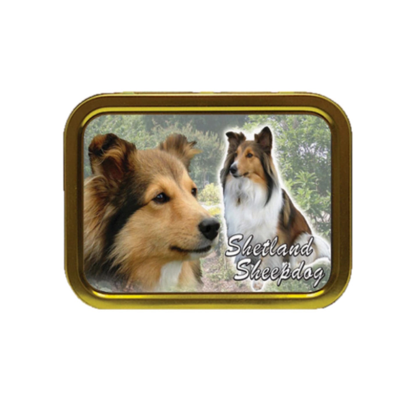 Shetland Sheep Dog Breed Tobacco Tin & Products Gift