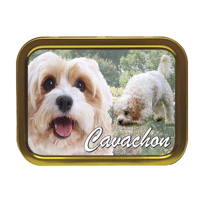 Cavachon Dog Breed Tobacco Storage Tin & Products