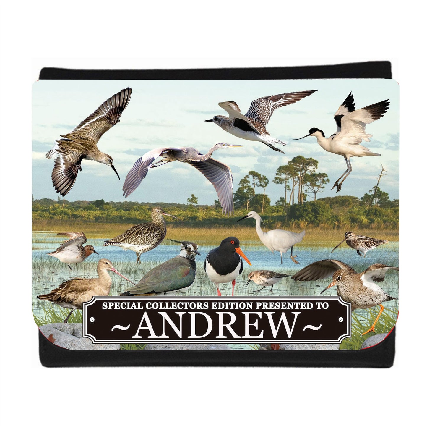 Personalised British Wetland Bird Ornithophile, Birder Wallet Gift