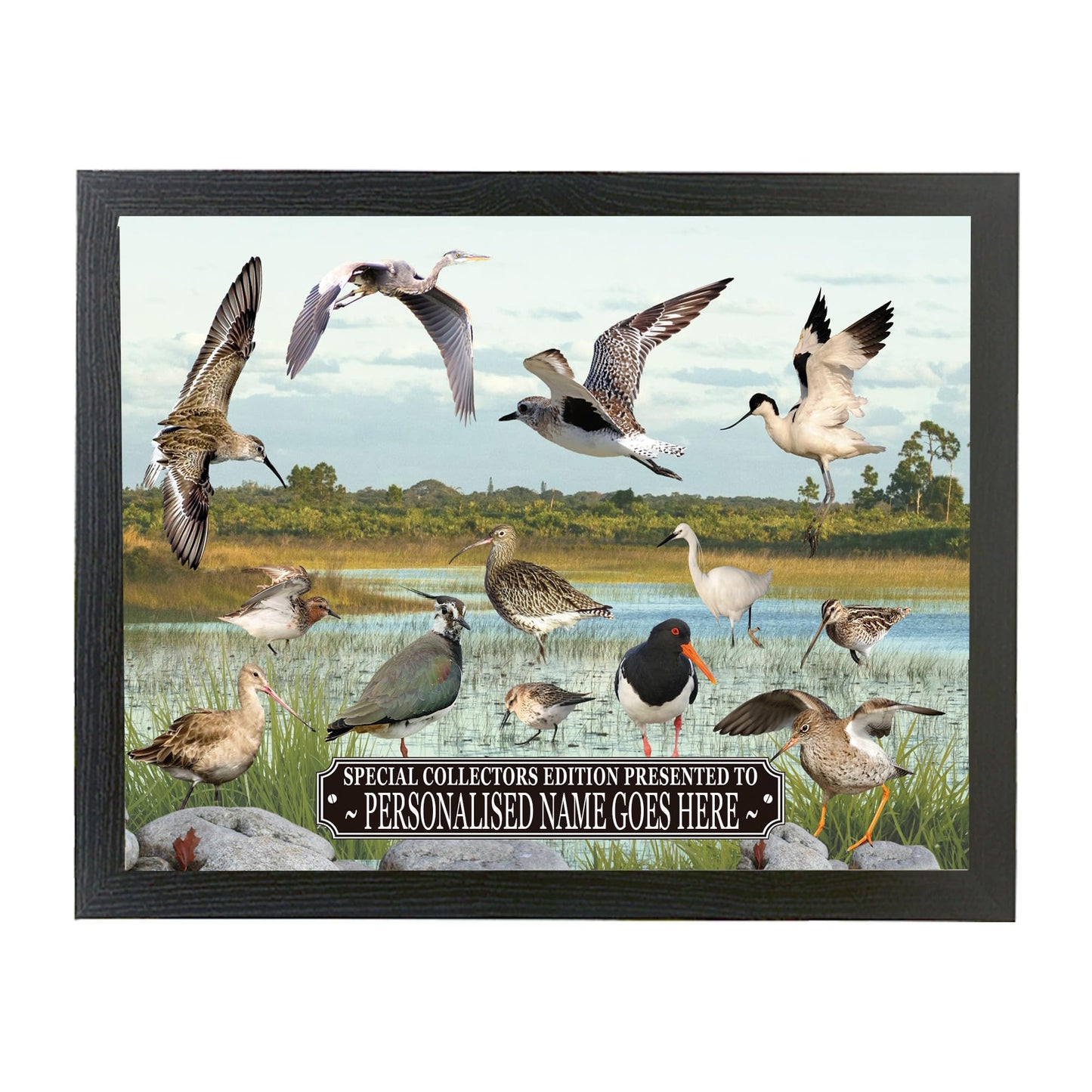 Personalised British Wetland Bird Ornithophile, Birder Lap Tray Gift