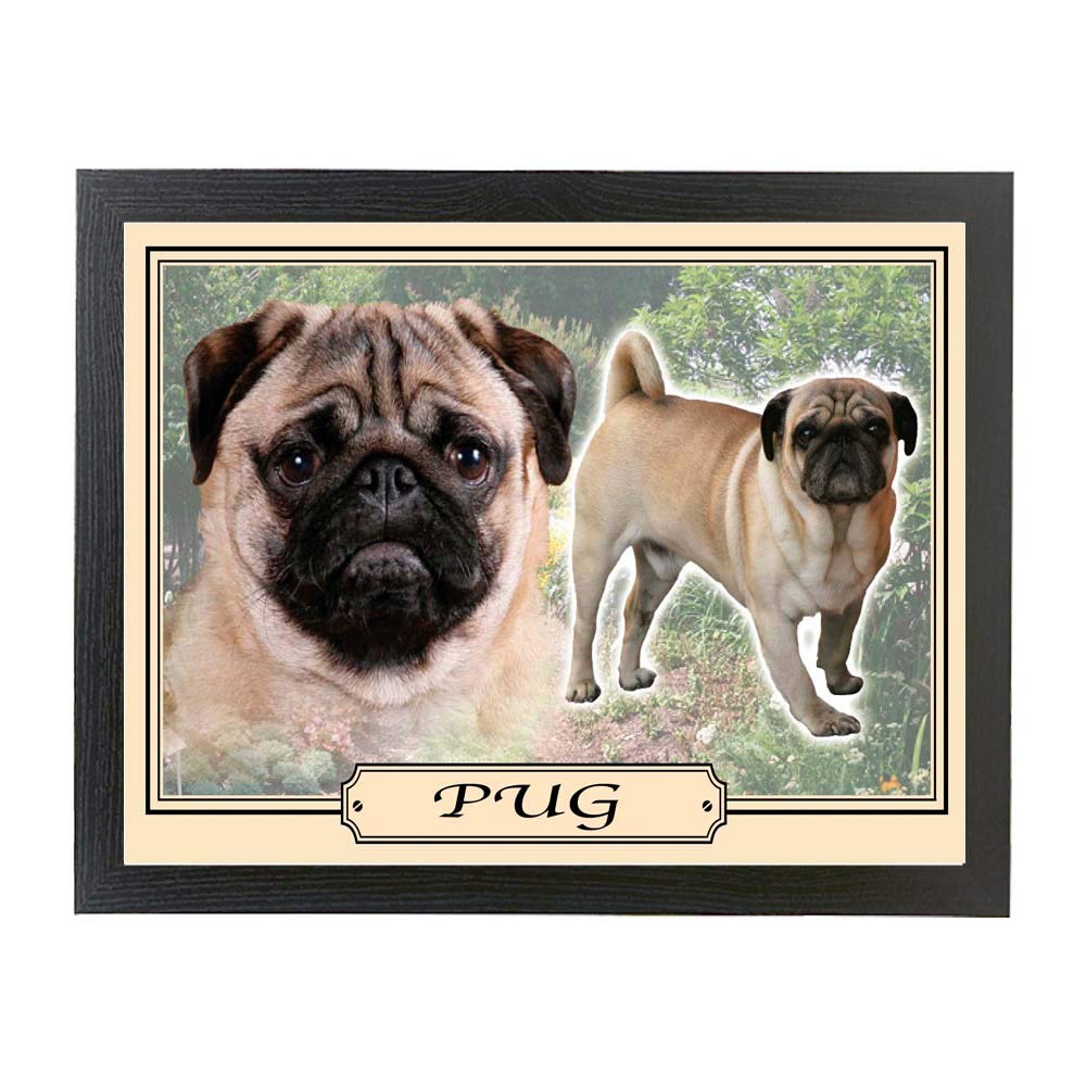 Pug dog breed framed picture gift