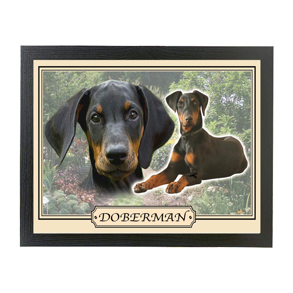 Doberman Dog Breed Gift Lap Tray