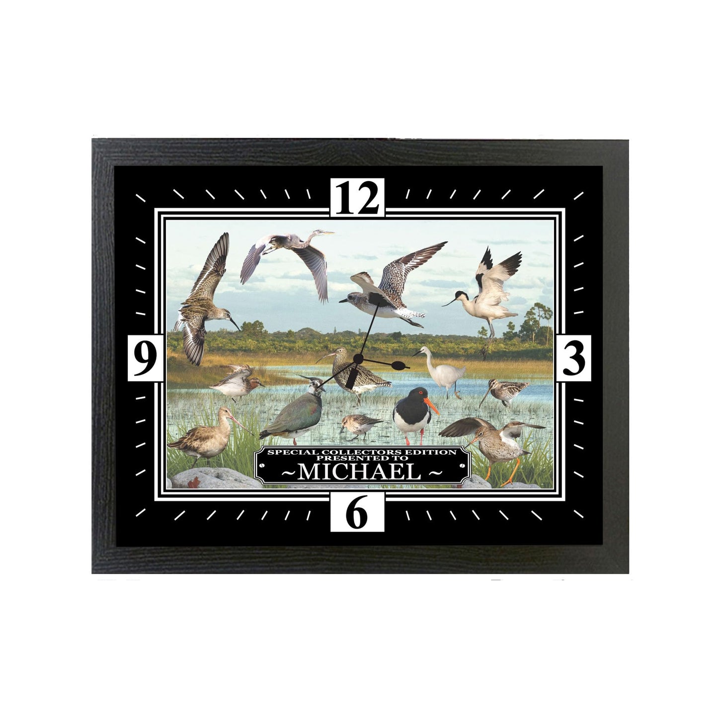 Personalised British Wetland Bird Ornithophile, Birder Wall Clock Gift