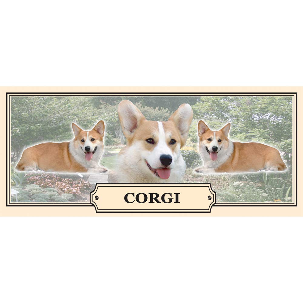 Corgi Dog Breed Gift Mug with Treats
