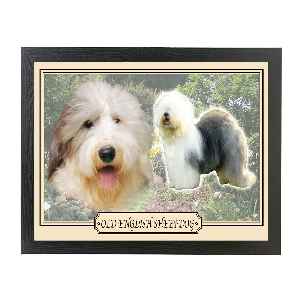 Old English Sheepdog Dog Breed Gift Lap Tray