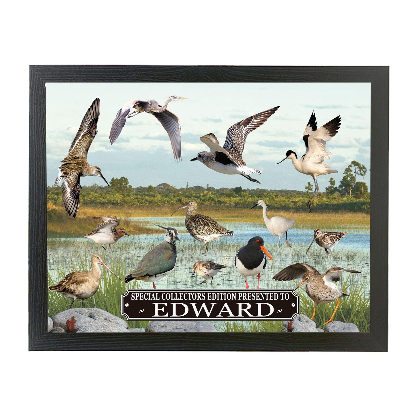 Personalised British Wetland Bird Ornithophile, Birder Lap Tray Gift