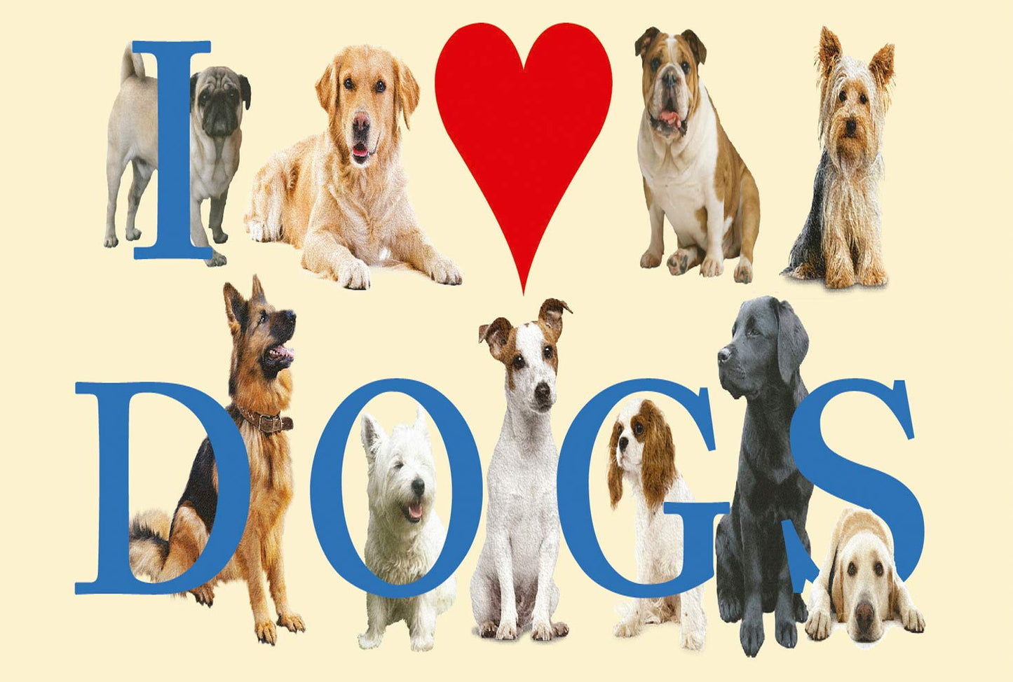 I Love Dogs Mug Gift