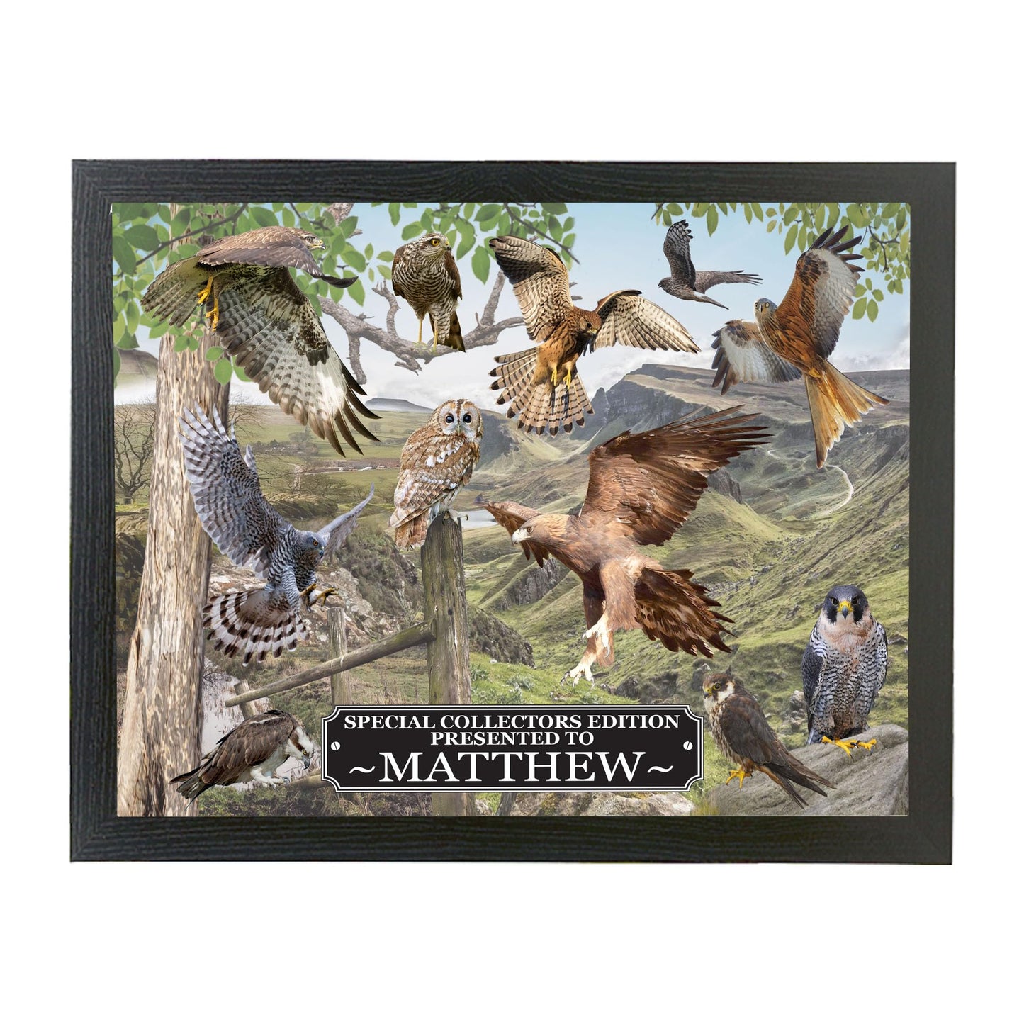 British Birds Of Prey Personalised Lap Tray Gift