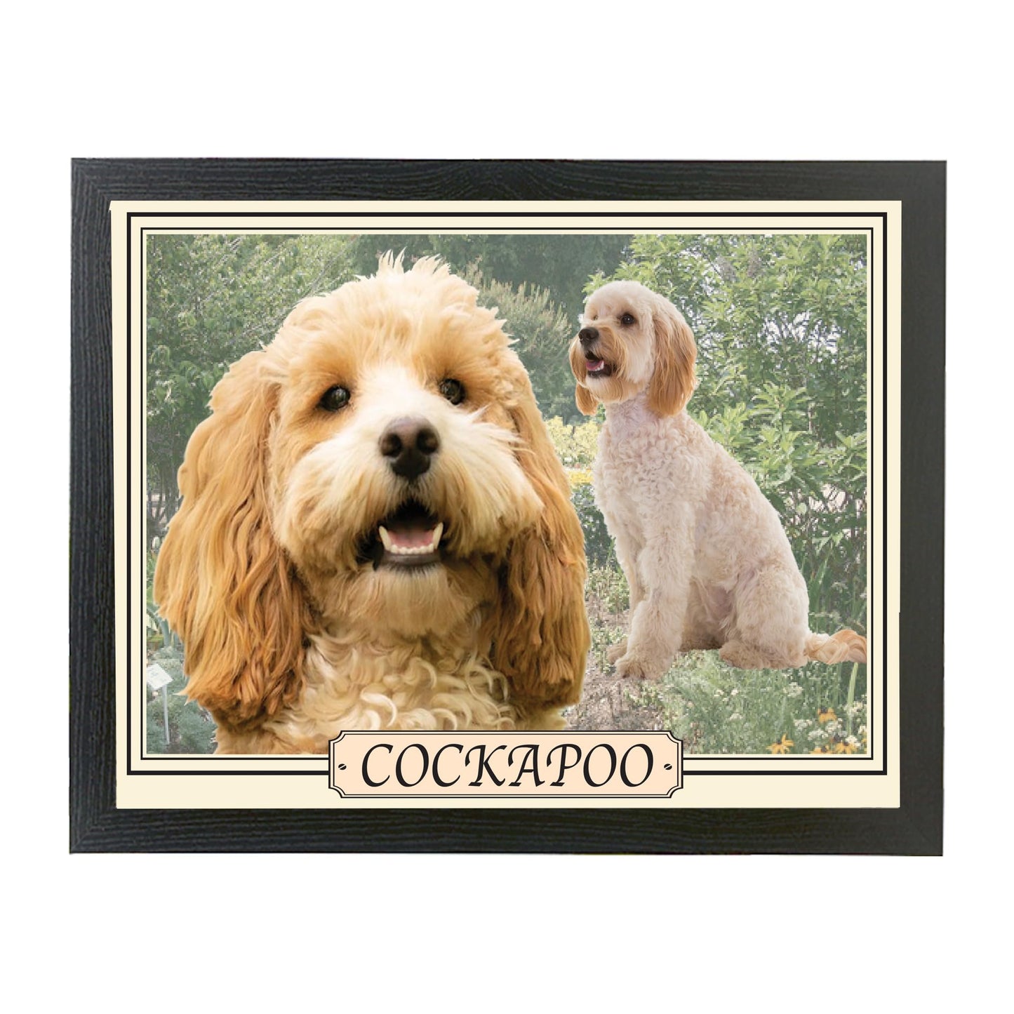 Cockapoo Dog Breed Lap Tray Gift Present