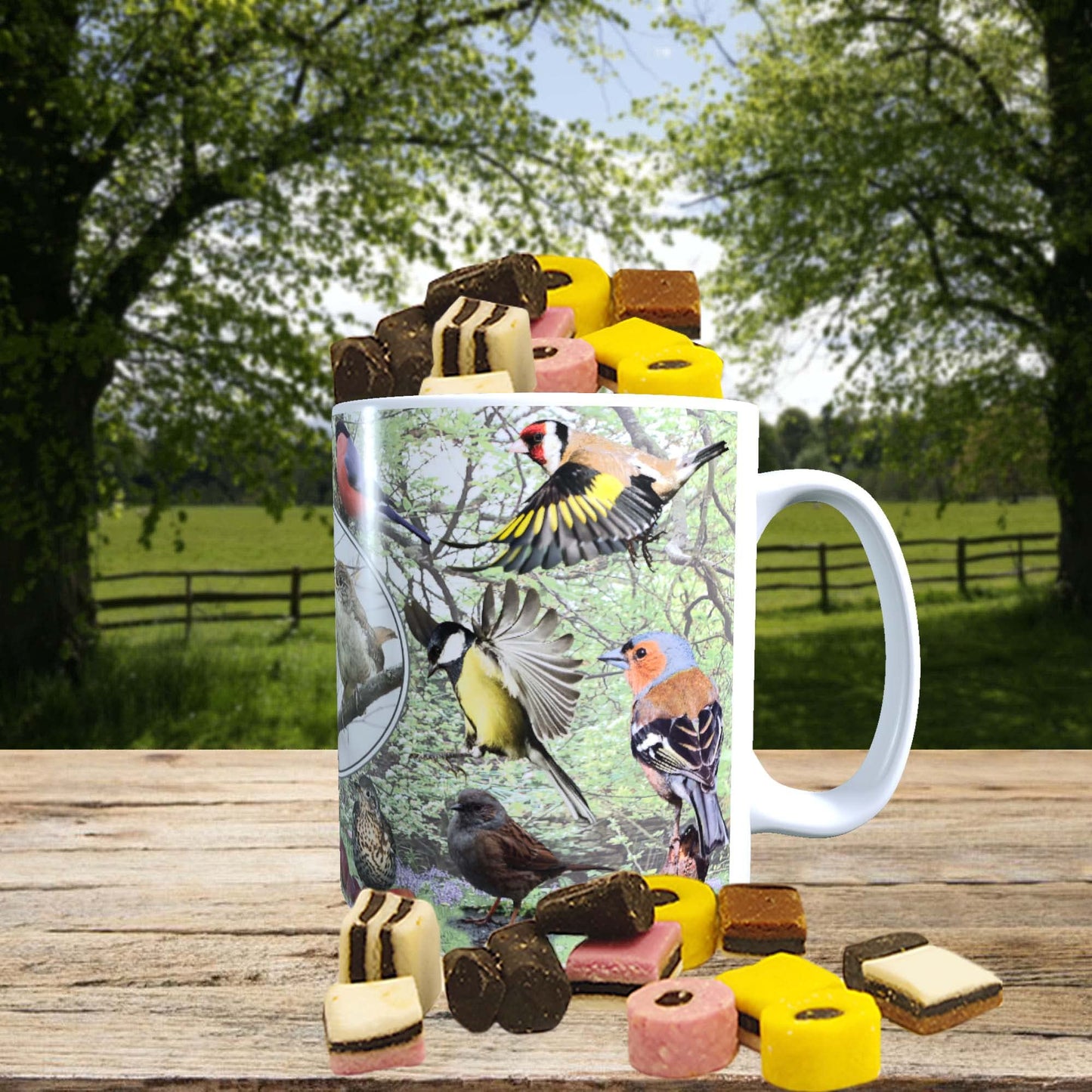 British Garden Birds Mug with Choice of Sweets Gift
