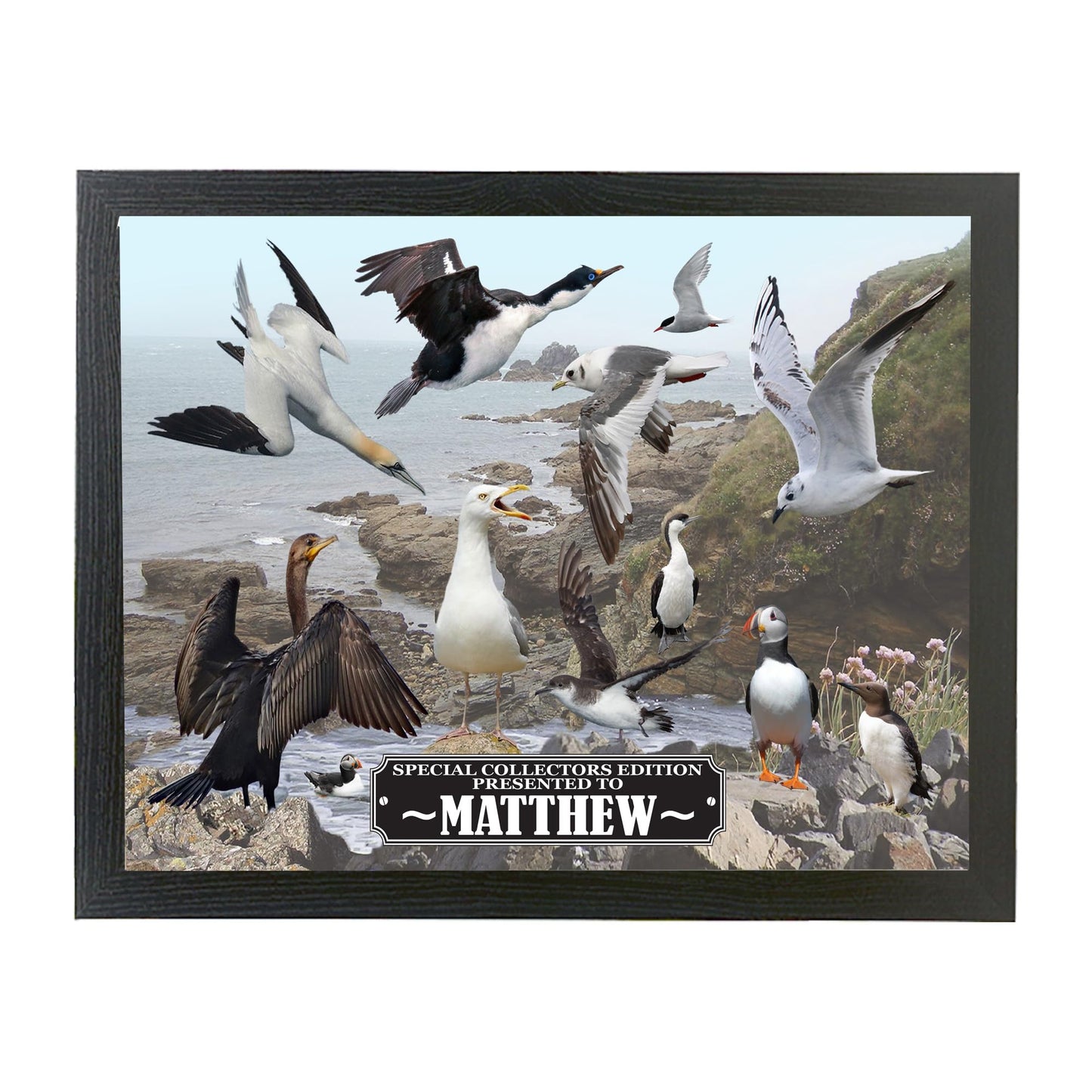 Coastal Birds Personalised Nature Lap Tray and Mug Gift Set, COASTBIRDGSET_001