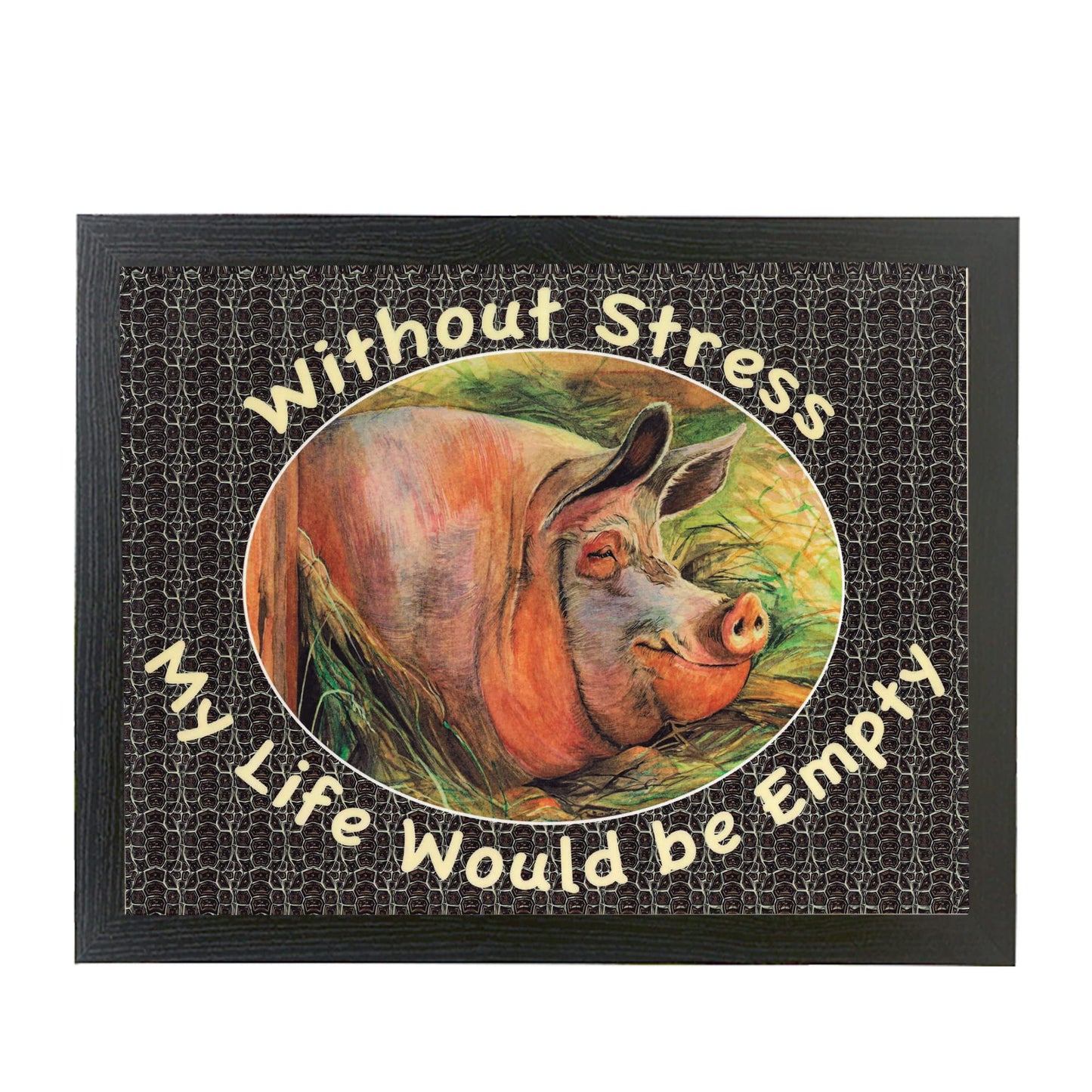 Without Stress My Life Would Be Empty Pig Lap Tray Cushion Bean Bag Gift