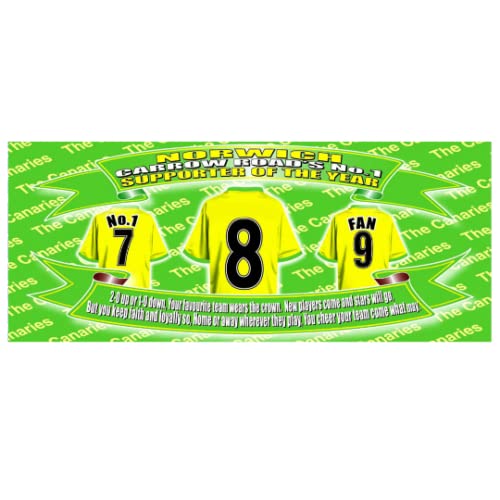 Norwich Football Shirt Ceramic Money Box Gift