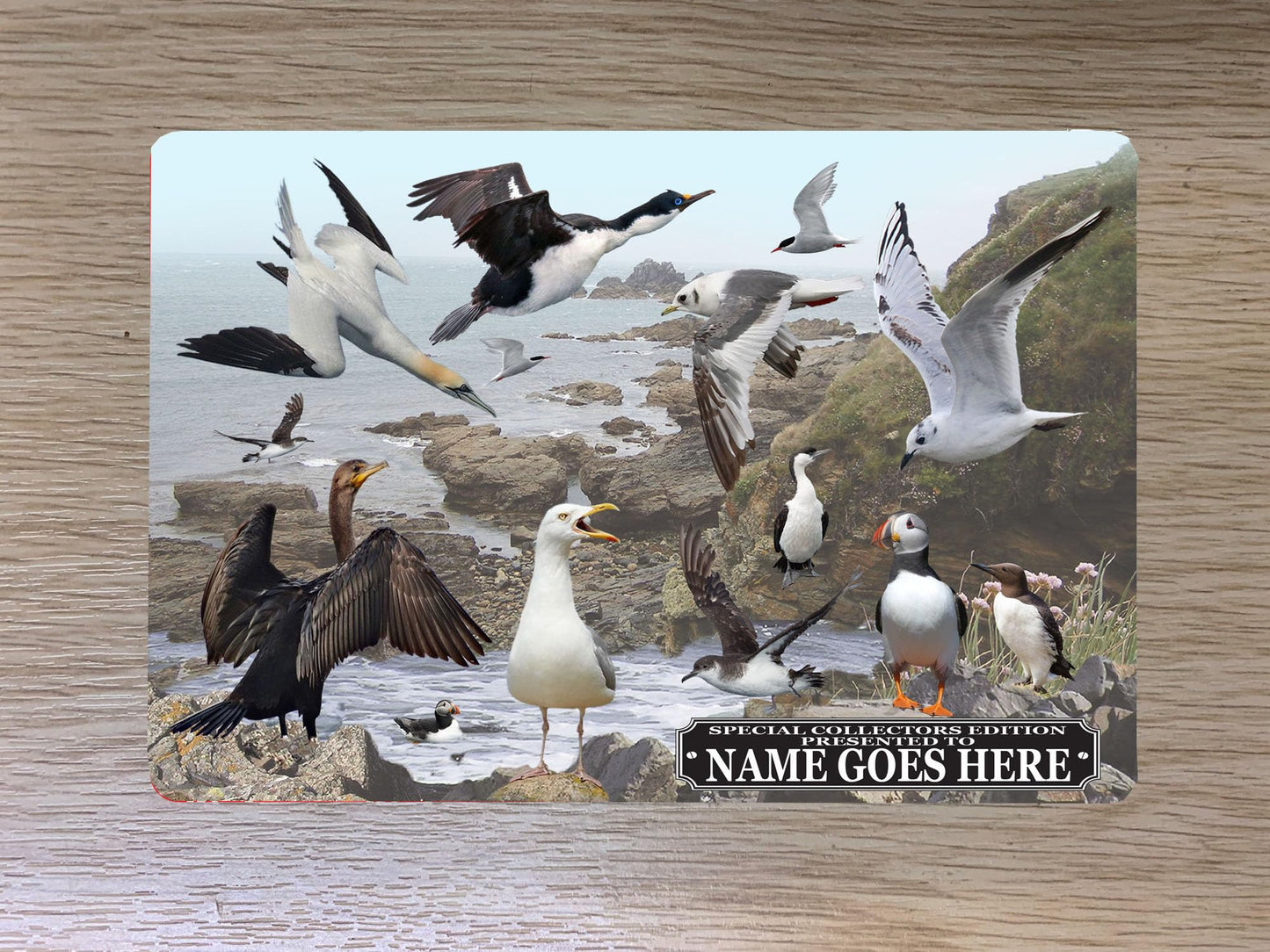 Coastal Birds Personalised Passport Case Holder Gift