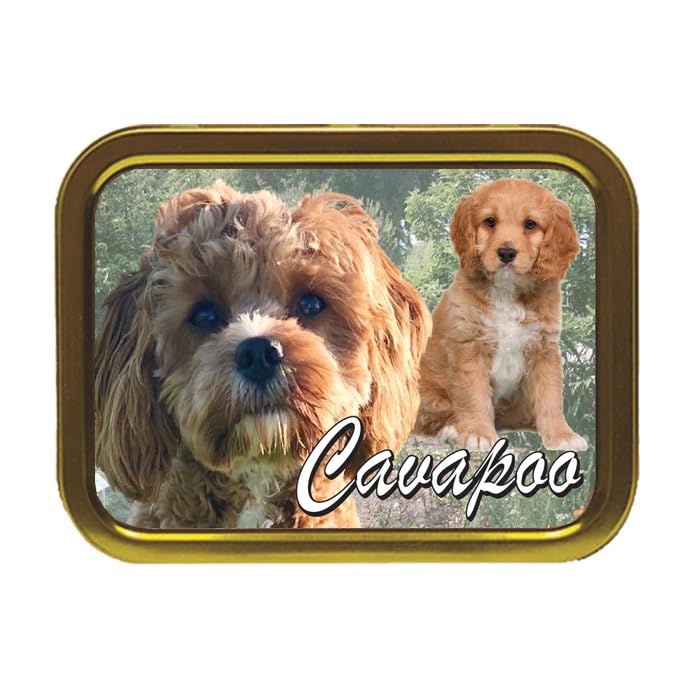 Cavapoo Dog Breed Tobacco Storage Tin & Products