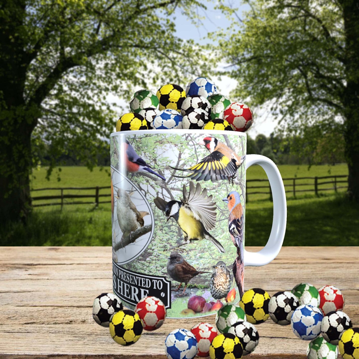 British Garden Birds Personalised Mug with Choice of Sweets Gift