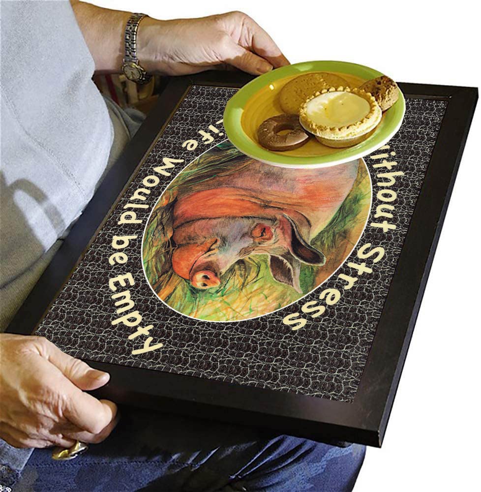 Without Stress My Life Would Be Empty Pig Lap Tray Cushion Bean Bag Gift