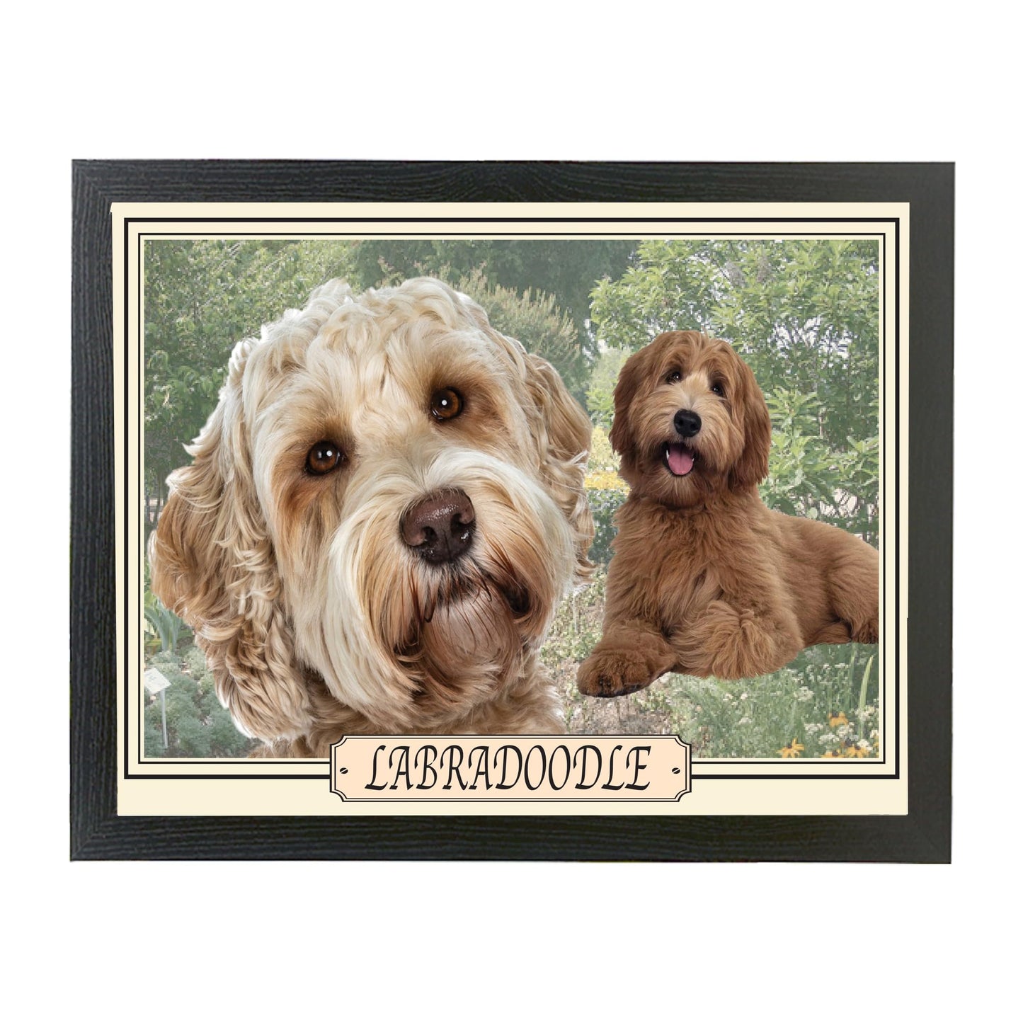 Labradoodle Dog Breed Lap Tray Gift Present