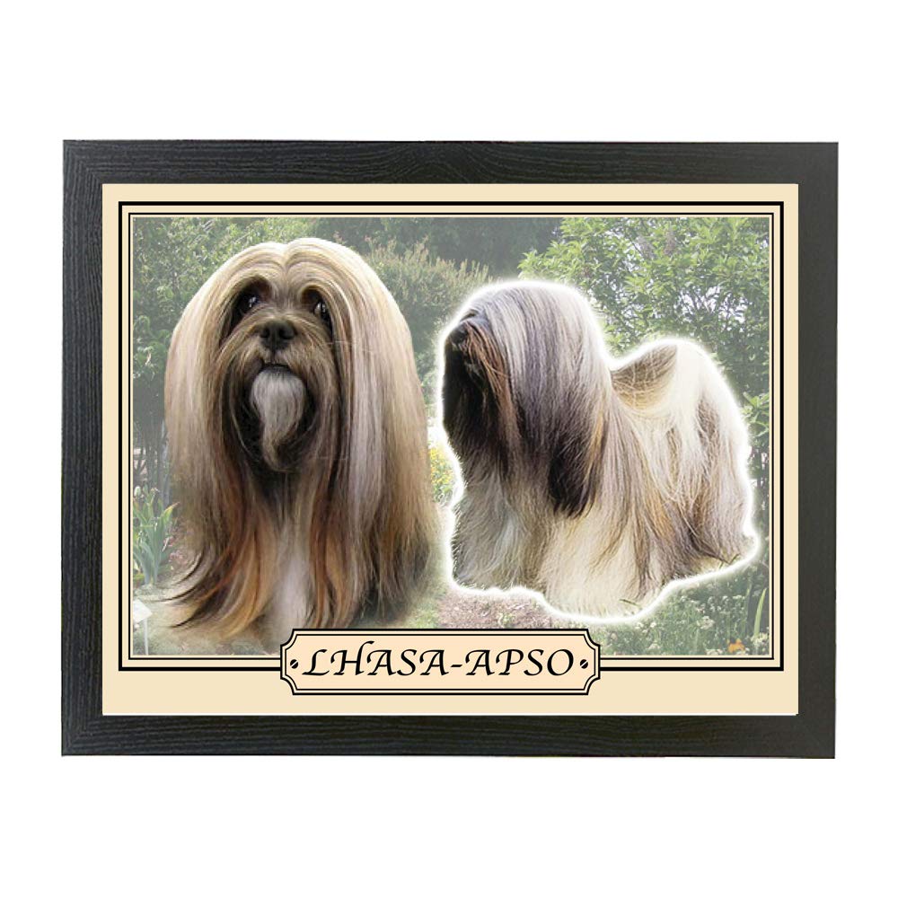 Lhasa Apso Dog Breed Gift Lap Tray